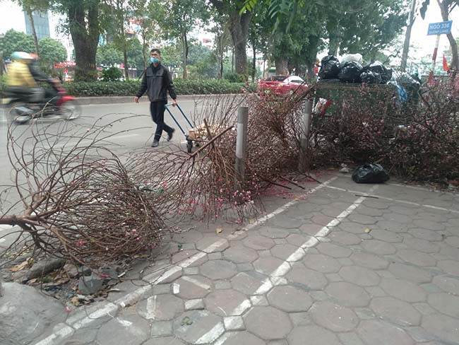 Lượng đào, quất bị vứt bỏ lớn khiến công nhân vệ sinh khá vất vả thu gom.