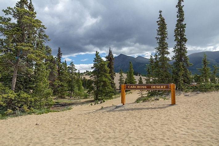 Sa mạc nhỏ nhất thế giới - Carcross, Canada: Với diện tích siêu khiêm tốn, Carcross là sa mạc nhỏ nhất thế giới. Nó tọa lạc ngay giữa khu vực núi non xanh tốt của Yukon, Canada. Và thay vì là nơi vắng bóng người, sa mạc này lại là sân chơi giải trí rất được ưa chuộng.