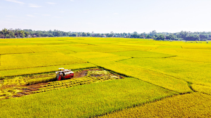 Trong thời gian này, hàng chục trinh sát được bố trí trên những con đường làng chạy quanh cánh đồng ở Đình Bảng. Cứ tối đến, các anh phải căng mắt để theo dõi sự xuất hiện của thiết bị flycam. Mỗi chiếc flycam đều bay ở tầm cao, "nép" theo những tán cây rậm rạp để giấu mình. Khi phát hiện, các trinh sát thường sẽ phải chạy bộ để đeo bám, rất nhiều lần các anh bị mất dấu vì gặp chướng ngại vật khi băng qua cánh đồng. Cũng thời điểm này, công tác rà soát ở thực địa đã cho một thông tin quan trọng: gần khu vực hay xuất hiện các thiết bị bay không người lái có một trang trại rộng hàng nghìn mét vuông vừa được mua lại. Khu trang trại này là của vợ chồng Đỗ Quang Vinh (SN 1982) và vợ Nguyễn Thị Hằng, cùng trú tại Bắc Ninh. (Ảnh minh họa, nguồn internet)
