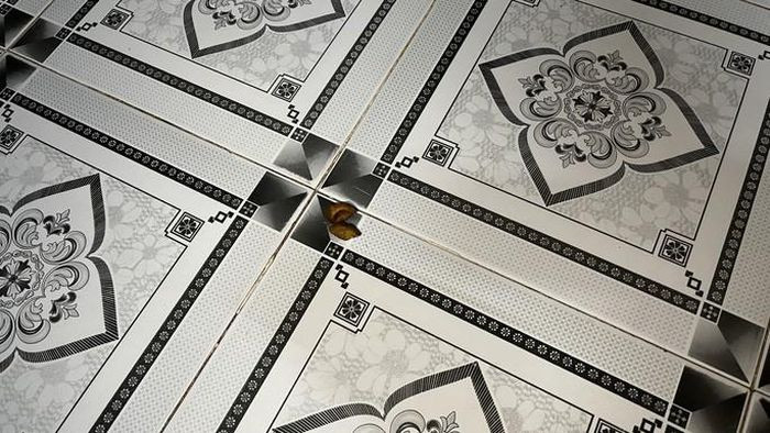 Bé gái 4 tuổi tử vong do hóc hạt nhãn: Tối 27/9, bé L. (SN 2017) tại xã Hàm Kiệm, huyện Hàm Thuận Nam (Bình Thuận) vừa chơi điện thoại vừa ăn nhãn, có người cha ngồi gần đó. Khi bé L. cắn vỏ thì hạt nhãn không may rơi xuống cổ họng, chặn ngang đường thở. Người nhà của bé dùng tay để móc hạt nhãn ra khỏi cổ nhưng không được. Sau đó đưa đi viện thì đã tử vong.