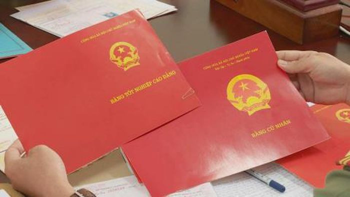 20 giáo viên, cán bộ sử dụng bằng giả: Công an tỉnh Đắk Lắk cho biết, 20 giáo viên, cán bộ đang công tác tại trường học, cơ quan, đơn vị trên địa bàn huyện Cư Kuin sử dụng bằng giả. Trong số những bằng giả được sử dụng có cả bằng THPT, bằng tốt nghiệp cao đẳng và đại học không hợp lệ.
