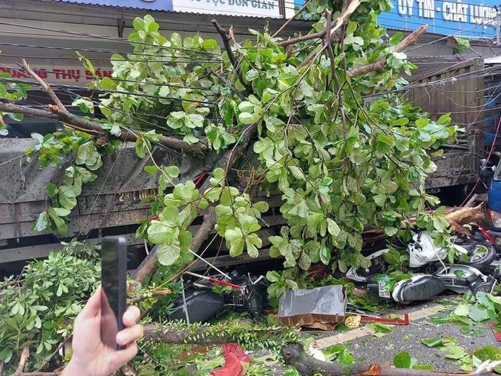 Trước đó, vụ tài xế container đánh lái tránh 2 người, tông vào nhiều nhà dân xảy ra vào sáng 8/6, sau khi lấy hàng xong anh điều khiển xe container từ Phú Thọ về Hà Giang trên Quốc lộ 2. Trong lúc di chuyển đến địa bàn tổ 4, thị trấn Việt Quang, huyện Bắc Quang (Hà Giang) thì bất ngờ có chiếc xe máy chở 2 người chuyển hướng sang đường đột ngột.
