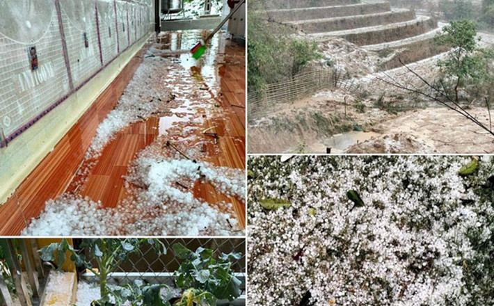 Tại Phú Thọ, trưa cùng ngày, trên địa bàn huyện Hạ Hòa xảy ra mưa đá và giông bão. Ban chỉ huy phòng chống thiên tai và tìm kiếm cứu nạn huyện Hạ Hòa cho biết, trận mưa lớn kéo dài hơn 1 giờ kèm theo mưa đá và giông bão xảy trên địa bàn các xã, thị trấn đã làm tốc mái 286 nhà dân, 2 trường học, 2 nhà văn hóa, hư hỏng 9 nhà xưởng. Tại nhiều xã, diện tích cây cối, hoa màu bị gió mạnh làm gãy đổ, ước tính thiệt hại trên 180 ha cây hoa màu (ngô, rau và cây chuối). Mưa bão cũng đã làm đổ 143 ha cây diện tích cây lâm nghiệp của huyện và đổ một số hệ thống tường rào, cột điện dân sinh.