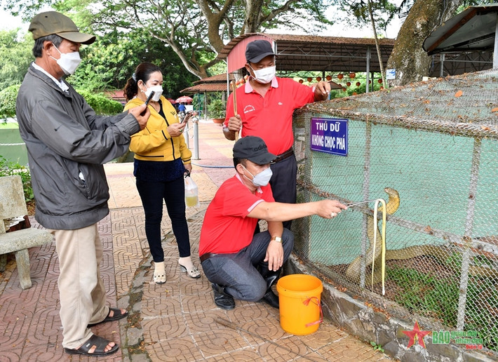 Để những con rắn cực độc trở nên “đáng yêu”, các nhân viên tại đây được ví như những “bảo mẫu”, hằng ngày tỉ mỉ, cẩn thận chăm sóc nhằm giúp chúng thích nghi và phát triển tốt nhất. Trại rắn Đồng Tâm hiện có hơn 400 loại rắn độc, được nuôi tại 3 khu vực.