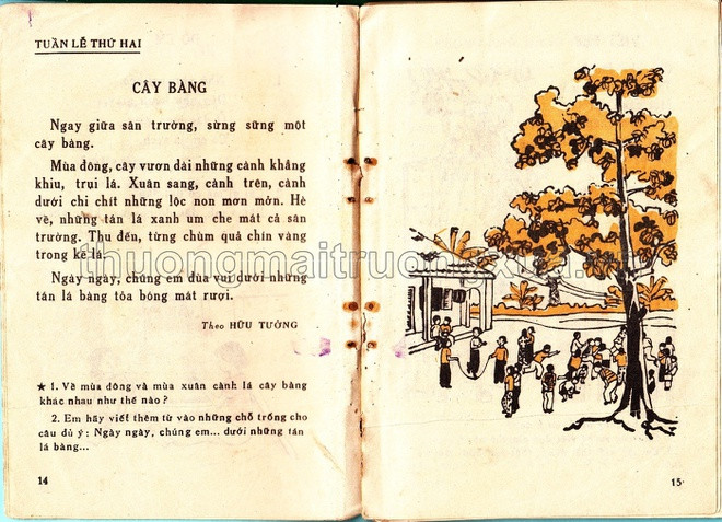 Không chỉ giúp học sinh nâng cao khả năng đọc hiểu, các bài đọc trong sách Tập đọc lớp 1 còn giúp các em học cách miêu tả sự vật, sự việc. Ví dụ, qua bài văn Cây bàng, trẻ biết cách sử dụng tính từ, từ láy để miêu tả cây cối qua từng mùa.