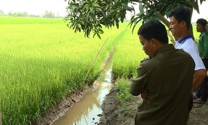 Dính dây điện bẫy chuột ngoài đồng người đàn ông tử vong: Ngày 20/4, Công an huyện Thường Tín (Hà Nội) cho biết, ông L.V.A (SN 1961; trú tại xã Lê Lợi) ra ruộng lúa của gia đình để cắm lại mốc giới. Khi đi qua ruộng lúa của Lê Văn Hòe, ông L.V.A bị vướng vào dây thép một đầu được đấu nối với nguồn điện sinh hoạt, mục đích để bẫy chuột khiến ông A, tử vong tại chỗ.