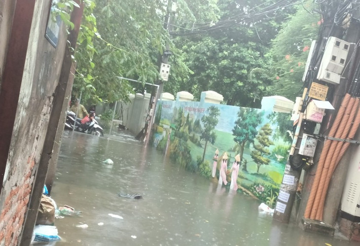 Nước ngập khiến rác trôi nổi. (Ảnh Pháp luật Việt Nam)