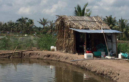 2. Phát hiện 3 người tử vong tại chòi lá cùng thư tuyệt mệnh: Ngày 25/9, Công an tỉnh Bến Tre đang điều tra vụ ba người là chị Nguyễn Thị K.L (40 tuổi, ngụ huyện Bình Đại), anh Nguyễn Thành L (33 tuổi, ngụ huyện Chợ Lách) và Nguyễn Minh P.T (16 tuổi, con riêng của của chị L.) tử vong trong chòi. Tại hiện trường, lực lượng chức năng đã tìm thấy 2 bức thư tuyệt mệnh có nội dung buồn gia đình, 3 chai thuốc diệt cá đã sử dụng.