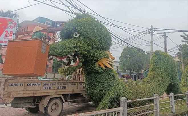 Tiếp thu ý kiến từ dư luận, Công ty cổ phần công viên cây xanh TP Vinh đã tổ chức cắt tỉa, trang trí lại 2 con rồng bằng cây nói trên. Sau khi cặp rồng cây được chỉnh trang, có nhiều ý kiến cho rằng tính thẩm mỹ của cặp linh vật rồng đã được nâng cao, có nhiều người đến đây tạo dáng, chụp ảnh.