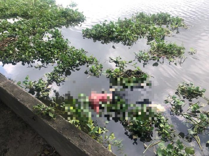 Phát hiện thi thể nam giới đang phân hủy: Trưa 25/6, người dân sống bên bờ sông Sài Gòn đoạn thuộc phường Vĩnh Phú (TP Thuận An, TP HCM) phát hiện một thi thể trôi nổi trên mặt nước, đang trong giai đoạn phân hủy. Qua khám nghiệm, thi thể là nam giới khoảng 50 tuổi trong tư thể úp mặt dưới nước, khám nghiệm tử thi kiểm tra trên người nạn nhân không có giấy tờ tùy thân.