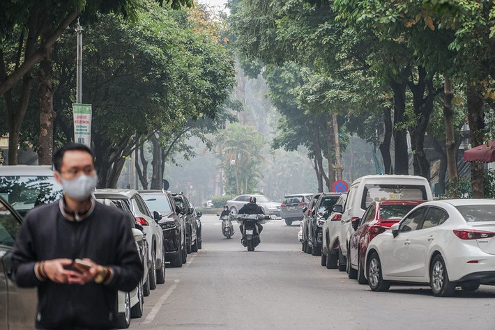 Chiều dài phố là 430 mét lòng đường 7,3-13 mét, vỉa hè mỗi bên từ 5-6,5 mét.