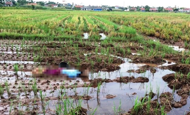 Theo hồ sơ vụ án, khoảng 6h40 ngày 7/2/2021 (26 tháng Chạp), người dân ấp Phú Lạc, xã Thạnh Phú, thị xã Bình Long, tỉnh Bình Phước phát hiện một vật thể lạ nằm lấp ló trên ruộng lúa đã thu hoạch. Tiến lại gần kiểm tra, người này tá hoả thấy 1 người đàn ông đang nằm bất động, gọi nhiều lần nhưng không phản thấy hồi, kiểm tra thấy nạn nhân đã tử vong liền tri hô người dân và trình báo sự việc lên cơ quan chức năng. (Ảnh minh họa, nguồn internet)