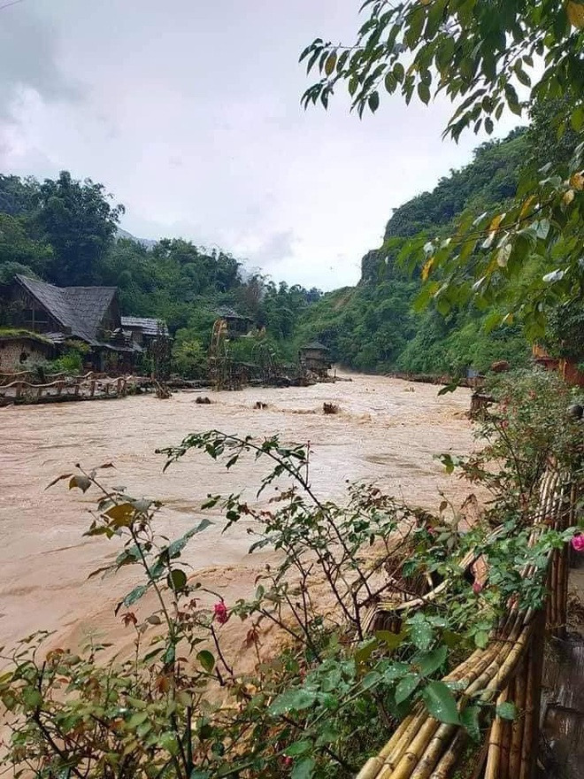 Vườn hoa hồng cổ Sa Pa và vườn hoa châu Âu bị nước lũ cuốn trôi gần hết.