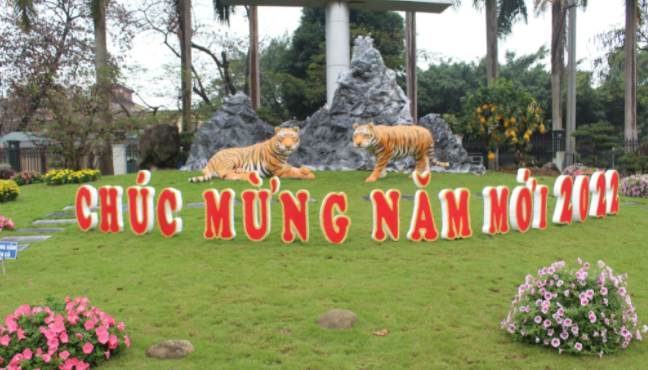 Hai bức tượng hổ được trang trí tại khuôn viên ngoài trời của Bảo tàng Văn hóa các dân tộc Việt Nam ở TP Thái Nguyên (Thái Nguyên) khiến nhiều người dân trầm trồ, hào hứng.