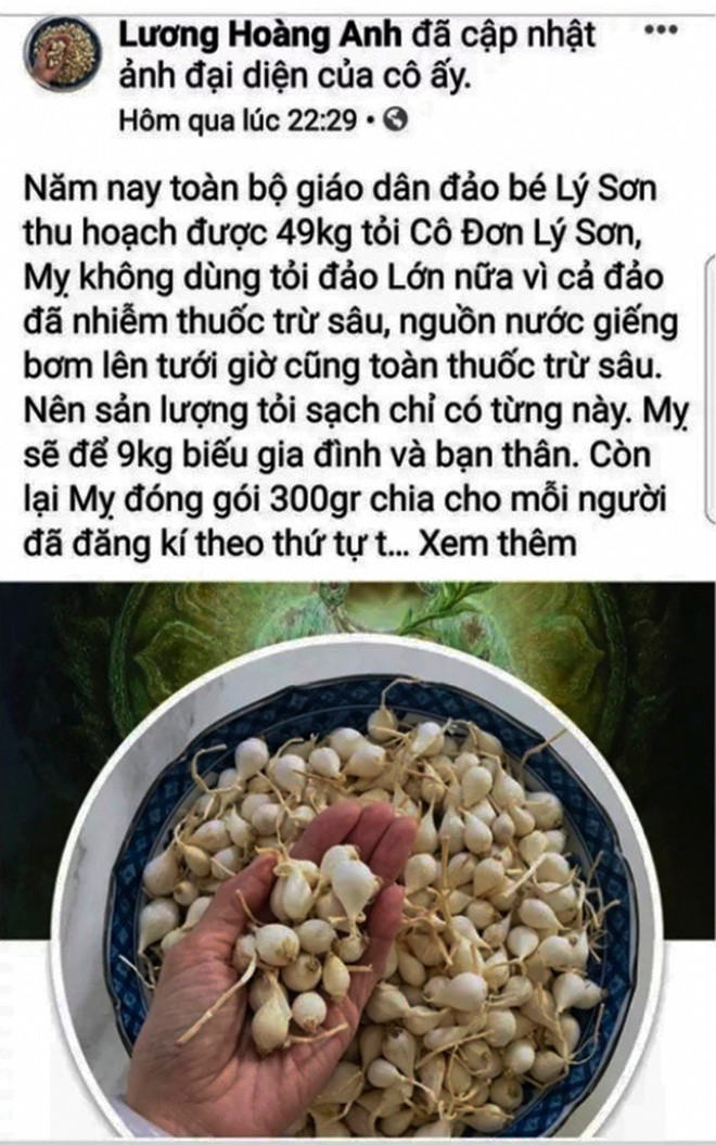 Trước đó tài khoản Facebook Lương Hoàng Anh viết: "Năm nay, toàn bộ giáo dân đảo bé Lý Sơn thu hoạch được 49kg tỏi cô đơn Lý Sơn. Tôi không dùng tỏi đảo lớn nữa vì cả đảo đã nhiễm thuốc trừ sâu, nguồn nước giếng bơm lên tưới giờ cũng toàn thuốc trừ sâu. Nên sản lượng tỏi sạch chỉ có từng này". Sau đó, tài khoản này rao bán tỏi.