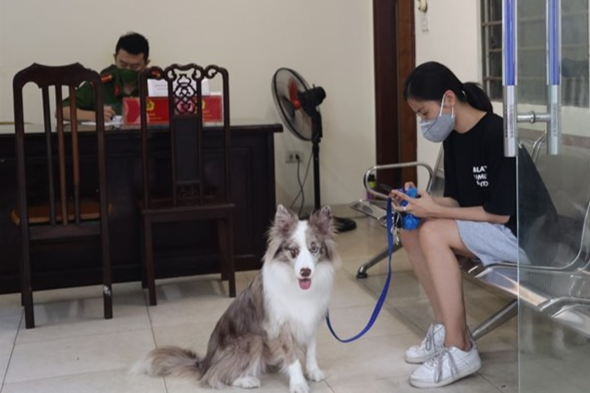 Dắt chó đi dạo bị phạt: Sáng 24/7, Công an phường Hàng Trống (Hoàn Kiếm, Hà Nội) phát hiện chị L.H.H. (trú tại phường Hàng Trống) đang dắt chó đi dạo trên phố Hàng Trống. Làm việc với tổ công tác, chị H. trình bày đang đưa chó ra ngoài đi vệ sinh và bản thân không biết sáng nay bắt đầu giãn cách xã hội.