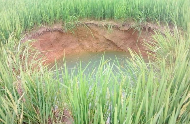 Sụt lún đất tạo hàng chục hố tử thần ở Quảng Trị vẫn chưa rõ nguyên nhân: Ngày 14/1, UBND tỉnh Quảng Trị xác nhận, sau xảy ra tình trạng sụt lún tạo thành hố sâu ở thôn Quật Xá (xã Cam Thành, huyện Cam Lộ), UBND tỉnh Quảng Trị đã yêu cầu Sở Nông nghiệp và Phát triển nông thôn phối hợp với các đơn vị kiểm tra. Vào ngày 29/12/2023, các đơn vị đã đi kiểm tra hiện trường, nhưng hiện vẫn chưa làm rõ được nguyên nhân xảy ra vụ việc.