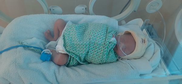 Bé sơ sinh 38 giờ tuổi sinh non bị bỏ rơi: Ngày 11/2, Bệnh viện Đa khoa Đức Giang (Hà Nội) tiếp nhận một bé trai mới 38 giờ tuổi, sinh non khoảng 35-36 tuần trong tình trạng da tím tái, suy hô hấp, thân nhiệt 35 độ, nặng 1,9 kg. Cháu bé tên Nguyễn Minh Phúc A., được nhặt tại Bồ Đề, Long Biên, Hà Nội. Cháu bé được quấn chiếc áo khoác mỏng, đầu đội mũ và một lá thư tay, có nội dung: "Do mẹ cháu không đủ điều kiện chăm sóc và nuôi dưỡng cháu nên thành tâm xin các bác cưu mang cho con".