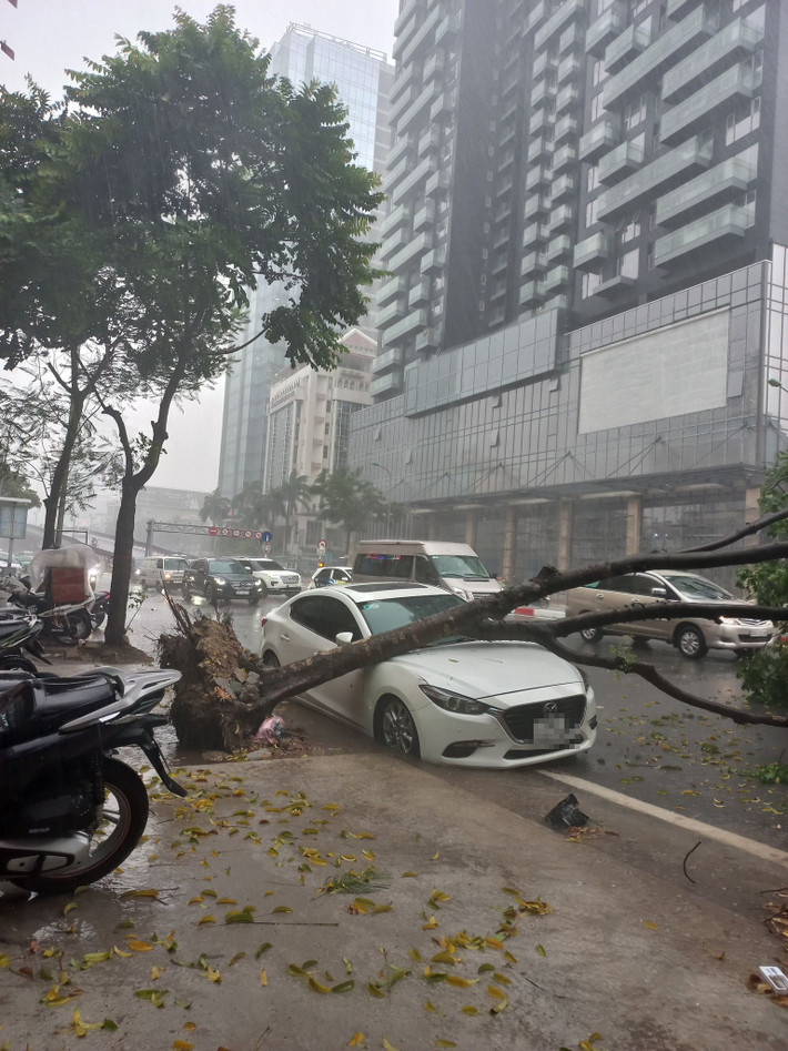 Cây đổ bật chơ gốc đè lên chiếc ô tô đang đỗ ven đường ở khu vực Láng Hạ.
