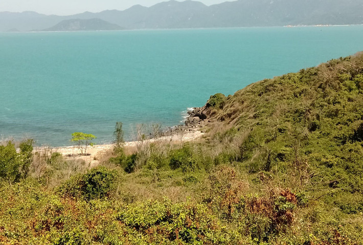 Tìm được thi thể bác sĩ tử vong khi đi câu cá biển: Ngày 24/2, lực lượng chức năng Khánh Hòa cho biết, vừa tìm thấy thi thể anh S. là bác sĩ tại BVĐK Khánh Hòa ở vùng biển Bãi Than, xã Vĩnh Lương, (Nha Trang). Theo nhận định ban đầu có thể nạn nhân đứng ở các tảng đá mép biển để câu rồi bị té ngã xuống nước, sóng đánh ra xa gây tử vong.