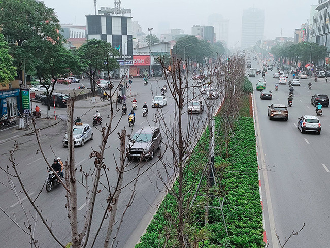 Anh Đoàn Trung Kiên (SN 1985) chia sẻ: "Tôi thường đi bộ dọc tuyến đường này, khi tôi đi qua cầu vượt nhìn xuống thấy hàng cây phong không có sức sống nào cả. Khoảng thời gian đầu còn thấy mọc được ít lá".