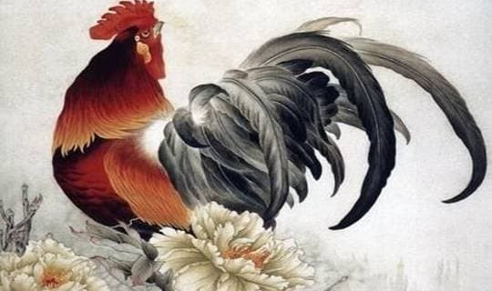 Nếu có dự án nào thì tuổi Dậu cũng nên thực hiện ngay. Nếu đã tìm được ý trung nhân, họ cũng có thể tính chuyện lâu dài ngay trong giai đoạn này. (* Thông tin chỉ mang tính tham khảo, chiêm nghiệm).