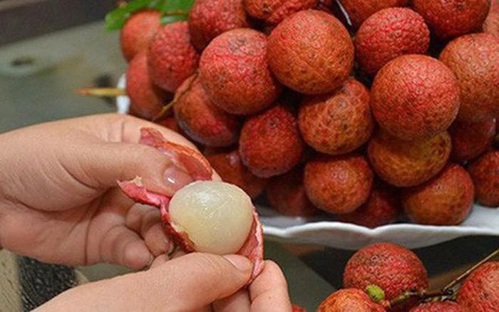 Bé trai 4 tuổi tử vong do ăn quả vải bị hóc hạt: Cháu Mai Huy K. (4 tuổi, trú xã Hậu Thành, huyện Yên Thành, Nghệ An) ở nhà với người thân rồi tự lấy quả vải để bóc ăn. Trong lúc ăn quả vải, cháu K. không tách bóc hạt ra mà chỉ tách bóc vỏ vải dẫn đến cháu K. bị hóc hạt vải dẫn đến tử vong. Ngày 20/5, UBND xã Hậu Thành cho biết, sau khi xảy ra vụ việc UBND xã Hậu Thành đã đến thăm viếng, động viên người thân, gia đình cháu K. (Ảnh minh họa)