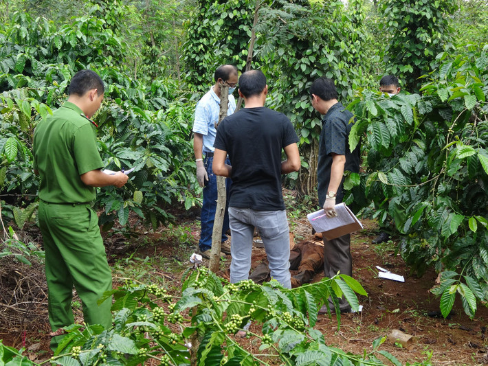 Rạng sáng ngày 5/10, người thân được cho là của nạn nhân xấu số đã có mặt tại hiện trường để nhận dạng thi thể. Tuy nhiên, khi nhìn thấy thi thể, gia đình nạn nhân đã không nhận ra vì gương mặt đã biến dạng hoàn toàn. Nhờ một số điểm nhận dạng, như vết sẹo trên gối và cái bớt sau lưng cùng với các vật chứng tại hiện trường là đôi dép và nữ trang gồm hai chiếc nhẫn, một chiếc bông tai, cơ quan điều tra xác định nạn nhân chính là Đặng Thị Y. (24 tuổi, trú quận Gò Vấp, TP HCM), giáo viên của Trung tâm giáo dục thường xuyên quận Bình Thạnh, TP HCM. (Ảnh minh họa, nguồn internet)