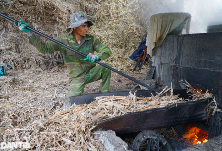 Cuối tháng 11 âm lịch, lò nấu mật mía của gia đình ông Nguyễn Văn Vinh (thị trấn Kim Tân, huyện Thạch Thành, tỉnh Thanh Hóa) đỏ lửa cả ngày lẫn đêm. Ông Vinh cho biết, đây là vụ cao điểm trong năm, vì vậy công suất được tăng lên để kịp phục vụ người dân dịp tết Nguyên đán. 