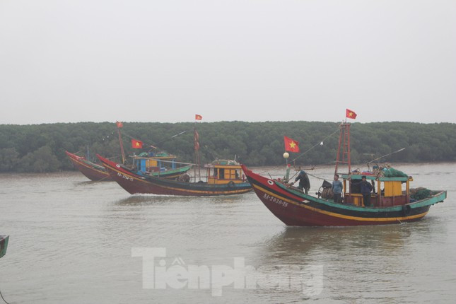 Từ 5h sáng, những con tàu đầy ắp tôm cá nối đuôi nhau liên tục cập cảng Lạch Vạn (xã Diễn Ngọc, huyện Diễn Châu, Nghệ An). Trên bến, dưới thuyền cũng trở nên rộn ràng, tấp nập, ngư dân ai cũng vui mừng phấn khởi.