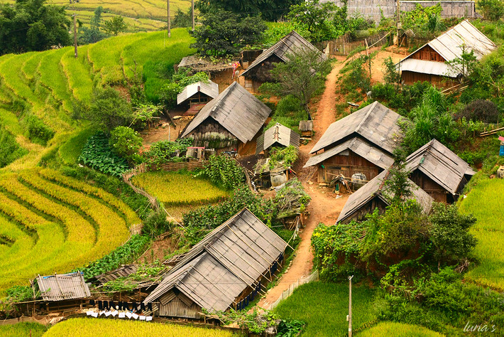Nghĩ là HQuyên đi chơi loanh quanh trong xóm nên mọi người không quan tâm, mãi đến 18h vẫn không thấy con về ăn tối như mọi ngày, vợ chồng anh Y Siêng sốt ruột cùng hàng xóm đi tìm nhưng suốt đêm vẫn không thấy cháu bé.