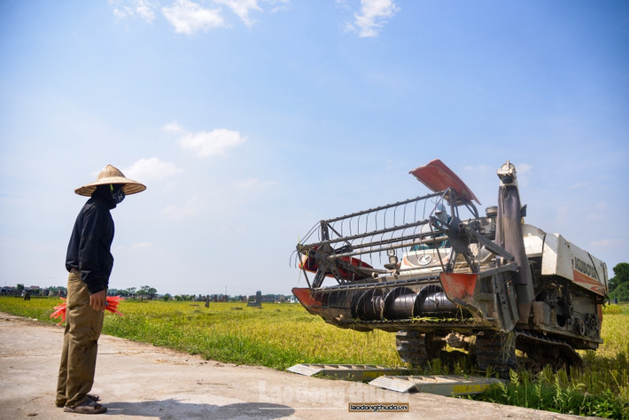 Anh Nguyễn Văn Tú, chủ một máy gặt chia sẻ, trước đây anh cũng từng rời quê hương lên thành phố làm ăn. Tuy nhiên, sau một thời gian làm ăn nhưng không được tiến triển gì nên anh về lại quê nhà và đầu tư vào dịch vụ nông nghiệp. Khi được hỏi về thu nhập từ công việc máy gặt, anh Tú chia sẻ: “Vào mùa vụ, tôi và cộng sự lại đi quanh các cánh đồng để gặt lúa cho bà con, có khi lên tận Thái Nguyên. Mỗi sào lúa từ 150-170 ngàn đồng, có những vụ bà con thất thu, tôi chỉ lấy 130 ngàn đồng.”