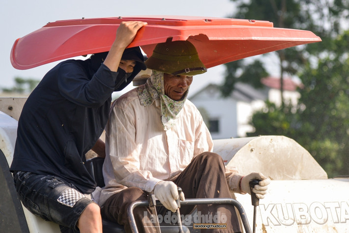 Trong thời gian mùa gặt, trên những cánh đồng lúc nào cũng rộn rã tiếng nói cười, và kèm theo là tiếng của máy cắt. Vào những thời điểm này, có 2 đến 3 máy gặt lúa trên những cánh đồng.