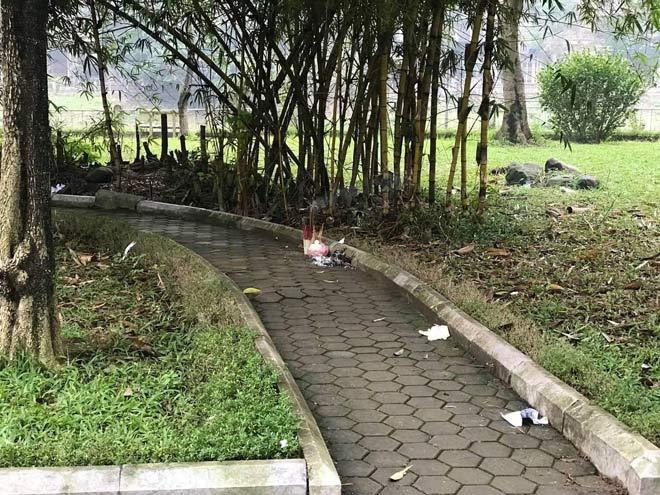 Đầu giờ chiều 7/3/2020, một số người dân đi bộ tới lối nhỏ trong vườn hoa Nguyễn Trãi (quận Hà Đông, TP Hà Nội) bị một phen kinh hãi khi nhận ra một thi thể người bị đốt cháy phân nửa, biến dạng, nằm lẩn khuất trong bụi cây rậm rạp. Kèm với đó là mùi xăng dầu. Ngay sau khi tiếp nhận tin báo, các Phòng, Ban nghiệp vụ Công an Hà Nội phối hợp cùng Công an quận Hà Đông khẩn trương tiếp cận hiện trường. (Nơi phát hiện thi thể nạn nhân)