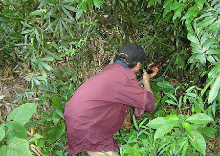 Thấy bạn rủ đi săn, đang lúc nông nhàn rỗi việc nên Đặng Chòi Quyên không chút nghi ngờ. Anh vác súng cùng bạn vào rừng. Sau một hồi lùng sục khắp cánh rừng cuối bản cả hai không săn được con thú nào. Khoảng 20h, sau khi ngồi nghỉ chân bên một con suối cạn cho đỡ mệt, Tòng rủ bạn về. Trong khi ngồi nghỉ, “chuyện nọ xọ chuyện kia”, trước đó Quyên đã nghe nhiều người nói Tòng thích vợ mình nên nghi ngờ hỏi: “Mày yêu vợ tao phải không?”. Tòng trả lời: “Không phải”. Quyên không tin và tỏ ý tức giận, bắt Tòng phải đi về nhà mình để nói chuyện...