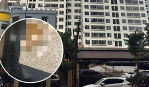 Bà Vũ Thị Thanh Ngân - Trưởng ban đại diện lâm thời toà nhà cho biết: Đến chiều cùng ngày đã xác định được người gây ra việc này. Theo đó, một bé trai khoảng 7 - 8 tuổi sinh sống trong tòa nhà Capital Garden do đau bụng, bố mẹ vắng nhà nên đã "đại tiện" ra thang máy P2. Mẹ cháu bé sau khi biết tin cũng đã gửi lời xin lỗi tới cư dân sống trong toà nhà.