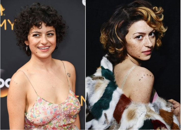 Shawkat nổi tiếng với vai Hannah Rayburn trong State of Grace, vai Maeby Fünke trong sitcom Arrested Development... Năm qua, cô đóng 3 phim điện ảnh là Animals, First Cow, I Lost My Body và một dự án truyền hình, có tên Living with Yourself. Shawkat được giới phê bình khen khả năng nhập vai nhanh, diễn xuất có cảm xúc.