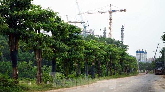 Thời gian vừa qua, người dân hai xã Nam Sơn và Hồng Kỳ (huyện Sóc Sơn, Hà Nội) lại căng lều bạt ngăn xe rác vào Khu liên hợp xử lý chất thải Nam Sơn vì bức xúc về việc lượng rác đổ về quá nhiều, gây ô nhiễm không khí nghiêm trọng, khiến rác thải tại các quận nội thành ùn ứ nghiêm trọng. Nhiều tuyến đường tại Hà Nội ngập trong rác thải, bốc mùi hôi thối trong nhiều ngày.