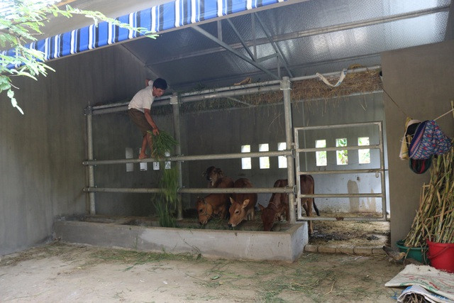 Trao đổi với VTC, ông Đặng Xuân Quyền, Trưởng phòng Quản lý Xây dựng công trình, Sở Nông nghiệp và Phát triển Nông thôn Nghệ An (đơn vị thẩm định giá) cho biết: "Giá xây dựng đó là chúng tôi thẩm định theo đơn giá của Nhà nước quy định, đắt hay rẻ đều do Nhà nước quy định. Khung giá này được liên sở Xây dựng và Sở Tài chính Nghệ An ban hành, nếu làm sai chúng tôi chịu trách nhiệm.