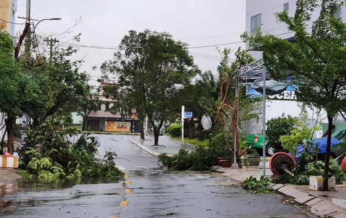 Một số tuyến đường tại quận Sơn Trà, Đà Nẵng cây bị đổ ngã.(Ảnh: TTXVN/Vietnam+)