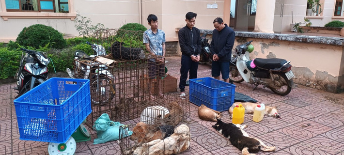 Triệt phá ổ nhóm trộm 3 tấn chó: Chiều 13/12/2022, Công an tỉnh Đắk Nông đã triệt phá 1 nhóm trộm chó chuyên nghiệp, liên tỉnh, bắt giữ 3 đối tượng, thu giữ nhiều tang vật liên quan. Các đối tượng trộm chó bị bắt gồm: Lưu Văn Đỏ (SN 1981), Lương Minh Quân (SN 2011, cùng trú tại TP Bảo Lộc, tỉnh Lâm Đồng) và Lê Nhật Thanh (SN 1998, trú tại huyện Tây Sơn, tỉnh Bình Định).