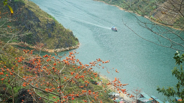 Sông Nho Quế chảy trên dải đất Việt Nam khoảng 46 km, qua lớp đá tai mèo lởm chởm của hệ thống công viên địa chất toàn cầu cao nguyên đá Đồng Văn, tạo nên dòng chảy mạnh với vô số thác ghềnh trắng xóa. (Ảnh: Dân Trí)