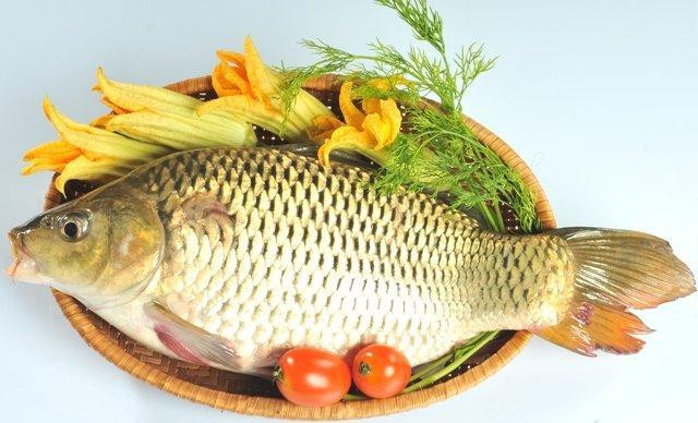 Nếu kết hợp cá và sữa làm gia tăng ama - chất độc trong cơ thể, đây cũng được coi như là nguồn gốc của tất cả các loại bệnh.
