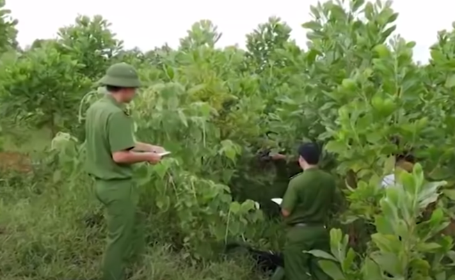Phân tích đặc điểm, thời gian xảy ra vụ án, cơ quan Công an nghi ngờ hung thủ là người ở quanh hiện trường. Sau khi phát hiện nhiều dấu vết gần khu vực tìm thấy xác người phụ nữ mất tích, lực lượng phá án nhận định đã xảy ra vật lộn quyết liệt giữa nạn nhân và đối tượng. Ngay sau đó, nhiều mũi trinh sát đã rà soát các đối tượng nghi vấn ở quanh vùng. (Ảnh minh hoạ, nguồn ảnh ANTV)