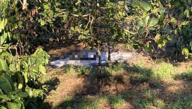 Theo hồ sơ vụ án, ngày 15/10/2018, người dân buôn Mláh (xã Phú Cần, huyện Krông Pa, Gia Lai) bàng hoàng khi phát hiện chị Nay H'Nhá (SN 1988) bị sát hại dã man ở khu vực rẫy gần chân núi Chư Mố. Thường ngày, chị H'Nhá đi cắt cỏ cho bò đến khoảng 9h là về nhà. Nhưng vào ngày 15/10, mãi đến 15h, sau khi cùng mọi người đi rừng về, anh Ksor Tinh (SN 1994, chồng chị HNhá) không thấy vợ ở nhà, con cũng chưa ai đón. Quá nóng ruột, anh Tinh vội đi tìm vợ. (Ảnh minh họa, nguồn internet) 