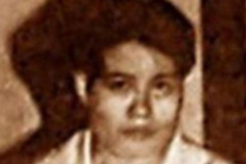 Dung Hà, tên thật là Vũ Thị Hoàng Dung, sinh năm 1965 là một trùm xã hội đen ở Việt Nam, sinh ra và lớn lên tại phố Trạng Trình, Hải Phòng. Từ một dân giang hồ vặt trên hè phố, Dung Hà đã từng đạt địa vị cao trong giới xã hội đen Việt Nam ở đất Cảng Hải Phòng.