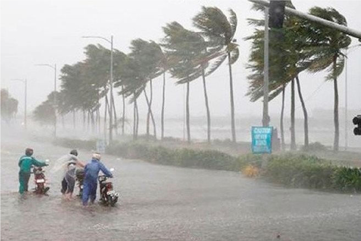 Khám nghiệm tử thi, cơ quan chức năng xác định nạn nhân chết trước đó từ 3 đến 4 ngày, xác đang trong thời kỳ phân hủy nặng. Do thời gian này xảy ra nhiều cơn bão, mưa liên tục nên khuôn mặt nạn nhân bị biến dạng. Bác sĩ pháp y cho biết, phần hộp sọ của nạn nhân bị vỡ thành nhiều mảnh, chấn thương sọ não nặng, đây là nguyên nhân chính gây tử vong. Ngoài ra bác sĩ pháp y còn phát hiện, phần đầu và mặt nạn nhân bị tác động bằng vật tày có cạnh. (Ảnh minh họa, nguồn internet)