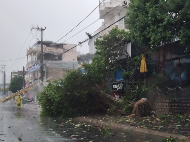 Tại khu vực ven biển TP Nha Trang, gió rít rất mạnh, mưa nặng hạt nhưng vẫn có nhiều người dân ra đường. Ảnh Tiền Phong.