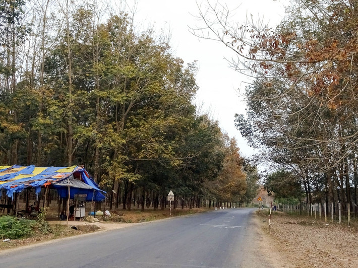 Theo hồ sơ vụ án, khoảng 4h15 ngày 22/10/2021, một công nhân đang làm tại rẫy gần đường liên thôn ở rừng cao su thuộc huyện Bù Đăng, tỉnh Bình Phước thì nghe thấy tiếng tri hô cướp, anh liền chạy đến thấy một người phụ nữ đứng ở cửa nhà. Người này cho biết vừa bị một đối tượng lạ mặt đeo khẩu trang lẻn vào nhà trói 2 mẹ con rồi hiếp dâm, cướp tài sản. (Ảnh minh họa, nguồn ảnh Internet)
