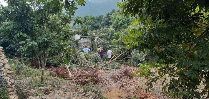 Vị này cũng cho biết thêm, thời điểm đưa xe vào cẩu phương tiện ra ngoài gặp nhiều khó khăn vì ở trong vườn nhà người dân.